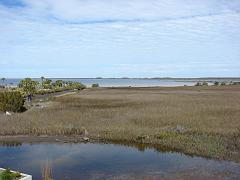 DSC00419